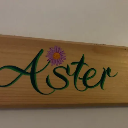 Appartamento Aster Laureane 1er Etage