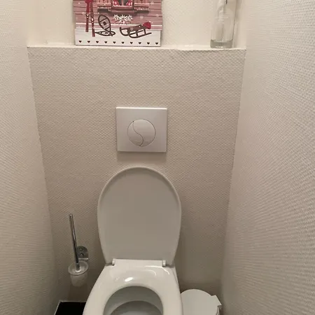 Aster Laureane 1er Etage Daire Cauterets