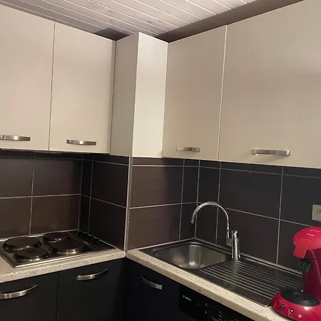 Aster Laureane 1er Etage * Cauterets