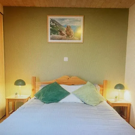 Aster Laureane 1er Etage Cauterets