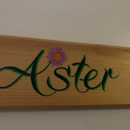Aster Laureane 1er Etage Appartement